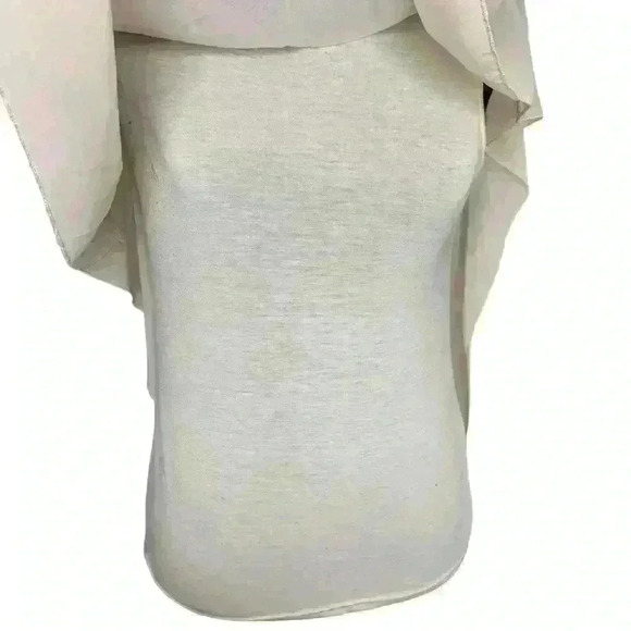 Tianxuan Beige Top Asymmetrical Sleeve. Sheer Overlay. - Picture 3 of 5